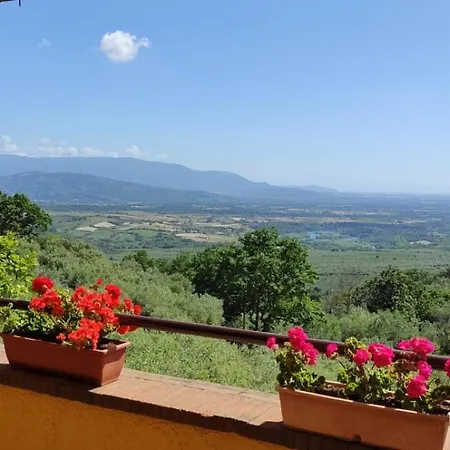 Felicella * Campagna
