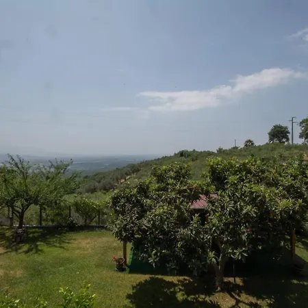 Felicella Campagna